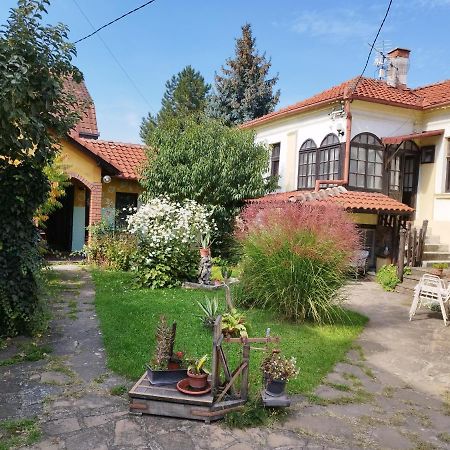 Apartament Garickina Kuca Pirot Zewnętrze zdjęcie