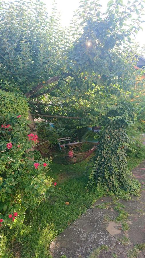 Apartament Garickina Kuca Pirot Zewnętrze zdjęcie