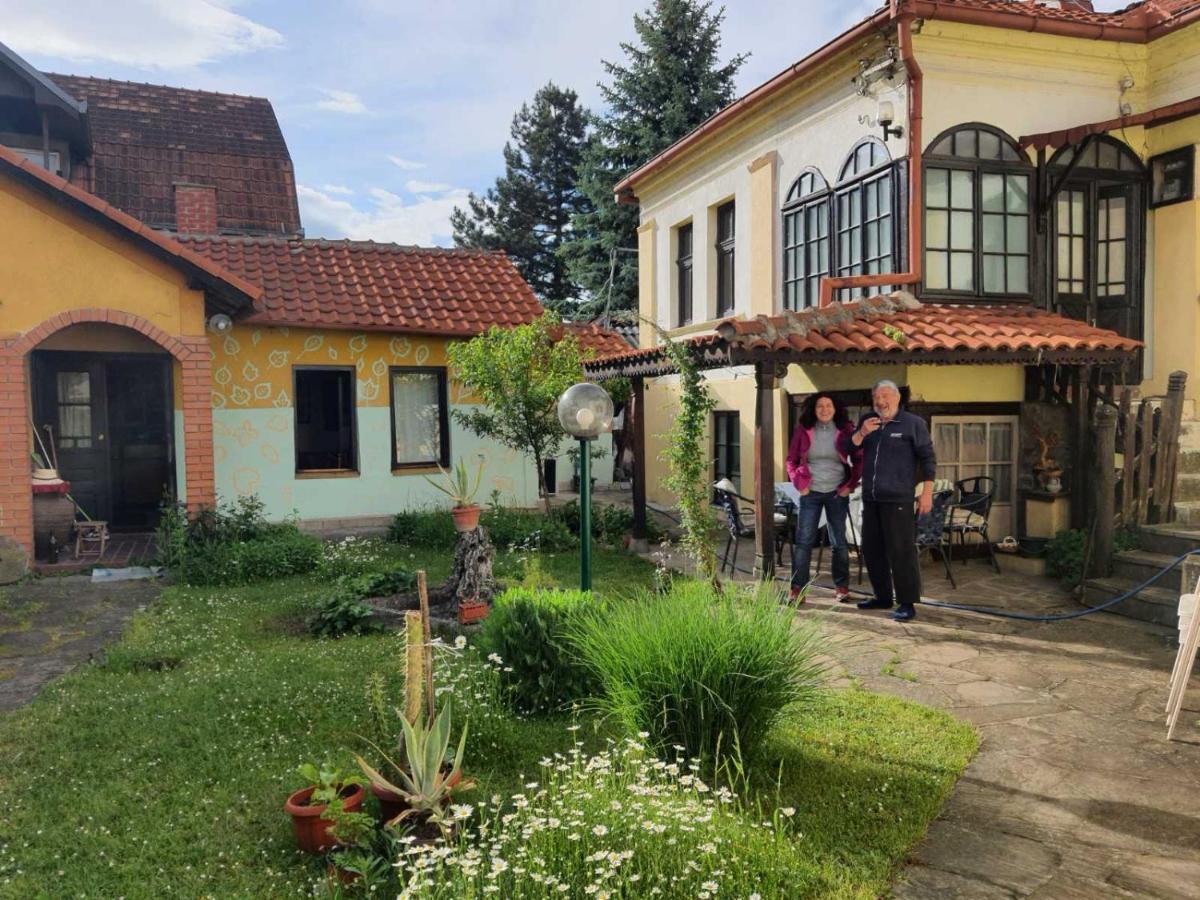 Apartament Garickina Kuca Pirot Zewnętrze zdjęcie