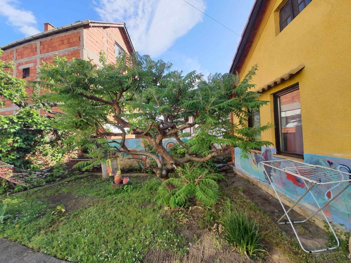Apartament Garickina Kuca Pirot Zewnętrze zdjęcie