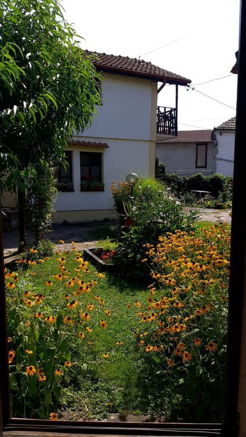 Apartament Garickina Kuca Pirot Zewnętrze zdjęcie