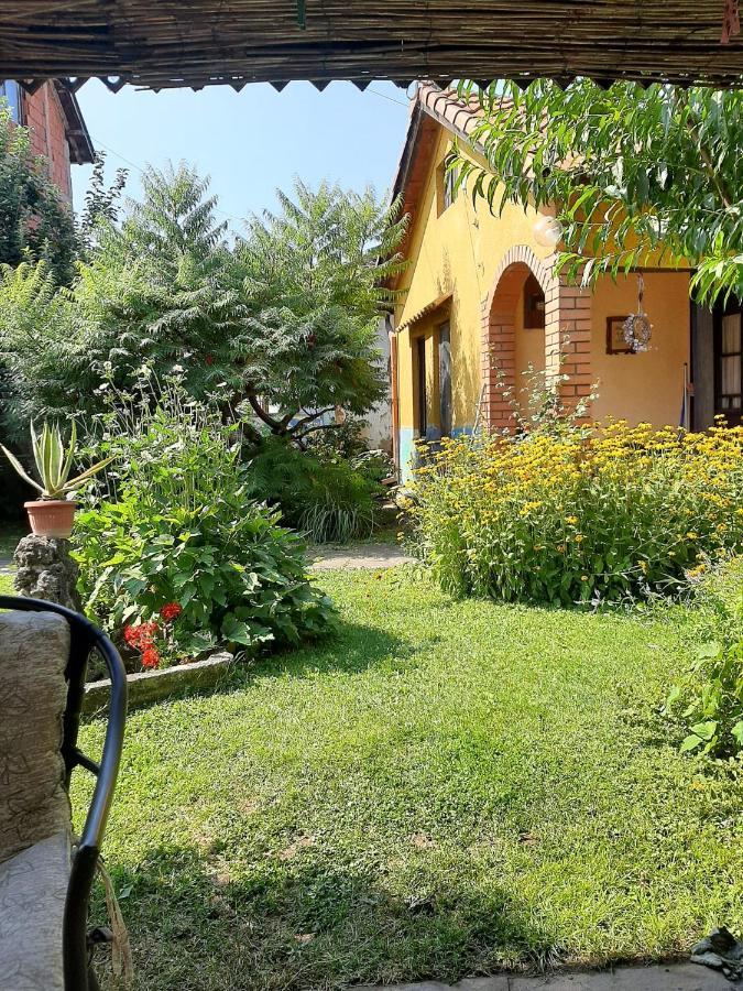 Apartament Garickina Kuca Pirot Zewnętrze zdjęcie