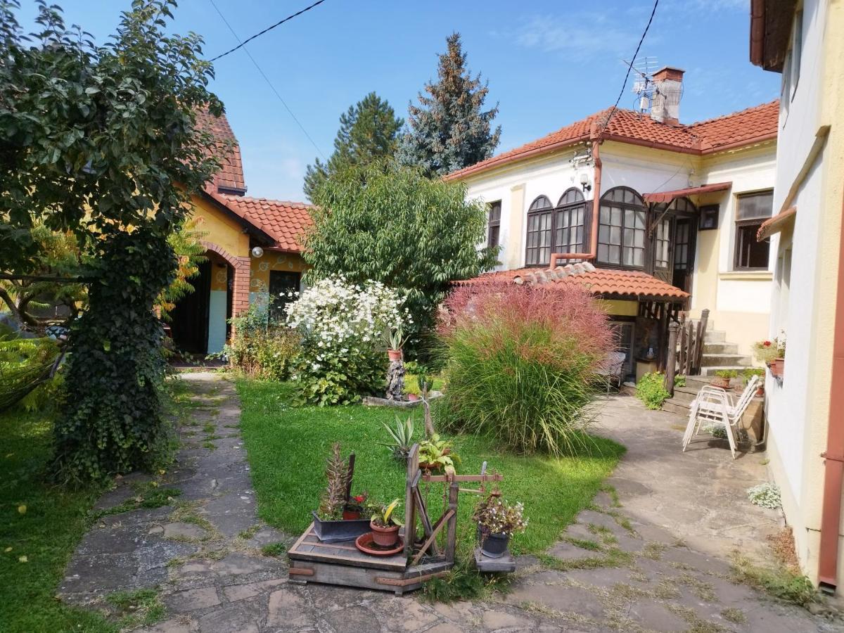 Apartament Garickina Kuca Pirot Zewnętrze zdjęcie