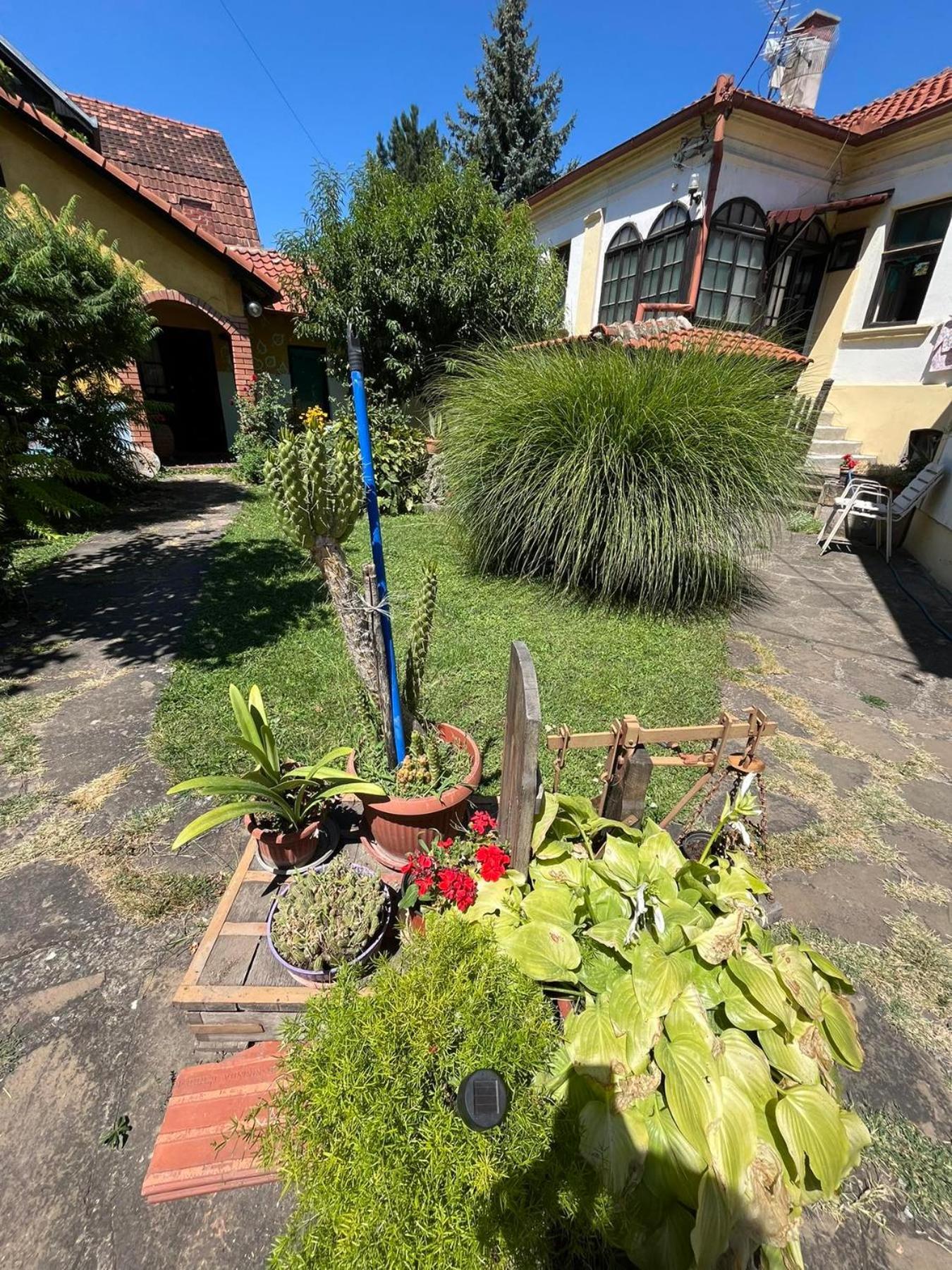 Apartament Garickina Kuca Pirot Zewnętrze zdjęcie