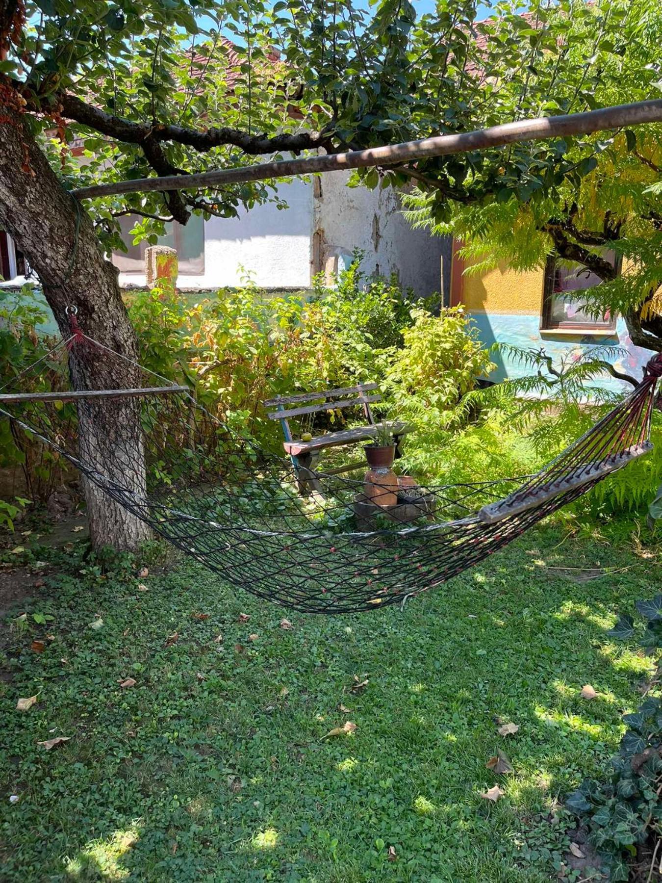 Apartament Garickina Kuca Pirot Zewnętrze zdjęcie